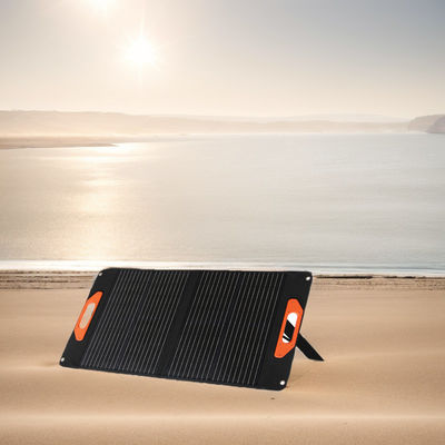 220,8% Umwandlungseffizienz Solarpaneel 50W 60W 100W 200W für kleine Solaranlagen