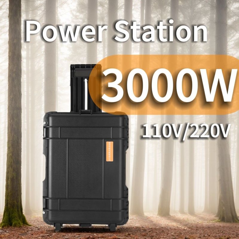 3kw Strombank Ladegerät eingebautes reines Sinewellenkraftwerk für individuelle Anforderung